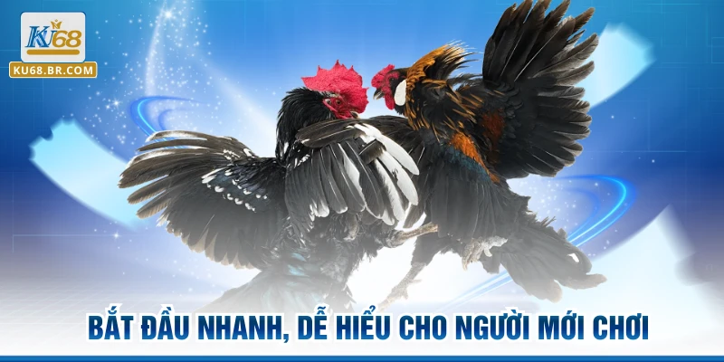 Bắt đầu nhanh, dễ hiểu cho người mới chơi
