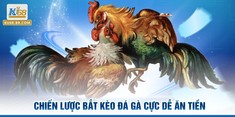 Chiến lược bắt kèo đá gà cực dễ ăn tiền