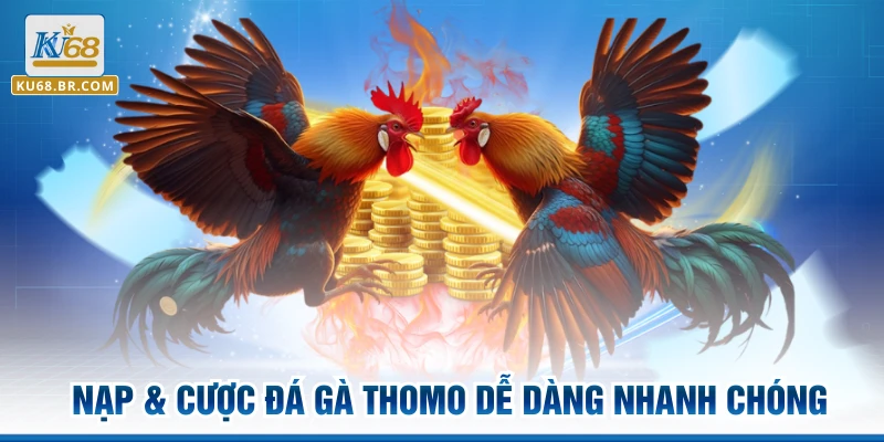 Nạp & cược đá gà Thomo dễ dàng nhanh chóng
